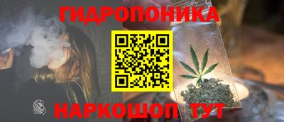гидра Кизилюрт