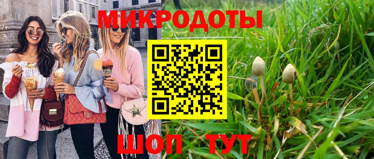 Звенигород  Псилоцибиновые грибы GOLDEN TEACHER  Галлюциногенные грибы прущие грибы  Вход с VPN 